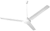 Ceiling Fans