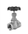 Globe Valves