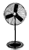 Pedestal Fans