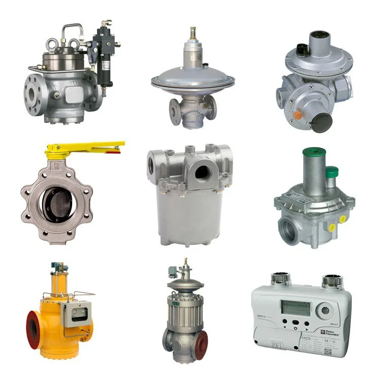 Pietro Fiorentini Hp100 Ap Gas Pressure Regulator