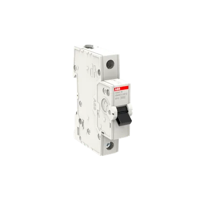 ABB 2CDS631031R0105
