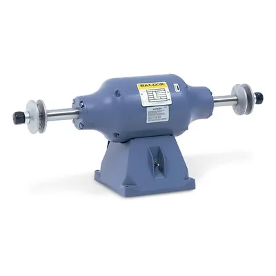 Baldor 1250