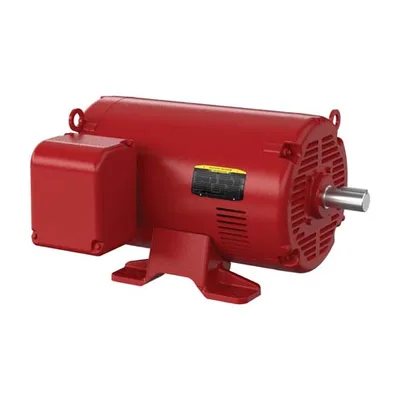 Baldor FPM2555TS-2/4