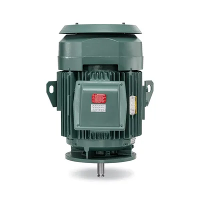 Baldor VHECP4316T