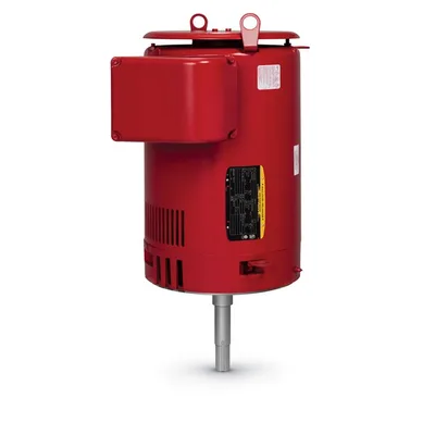 Baldor VJPFPM2551T