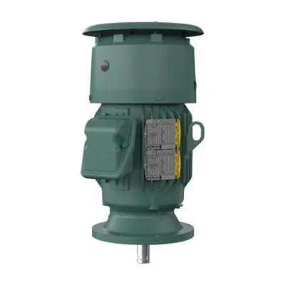 Baldor VLECP83660T-4