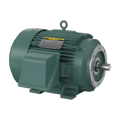 Baldor CECP84310T-4