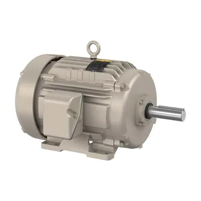 Baldor EGDM2334T