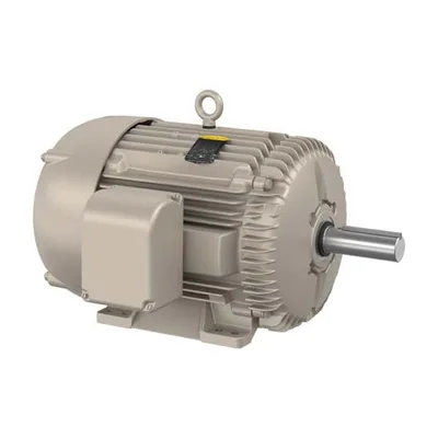 Baldor EGDM4110T