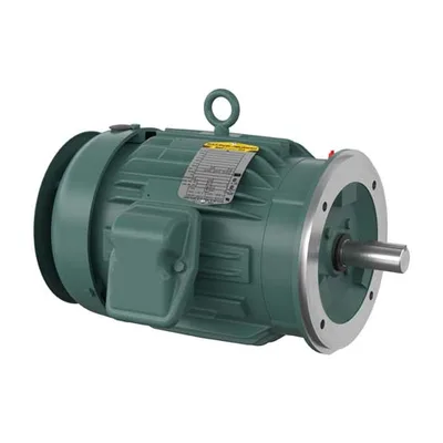 Baldor VECP3665T