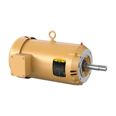 Baldor VEJMM3219T
