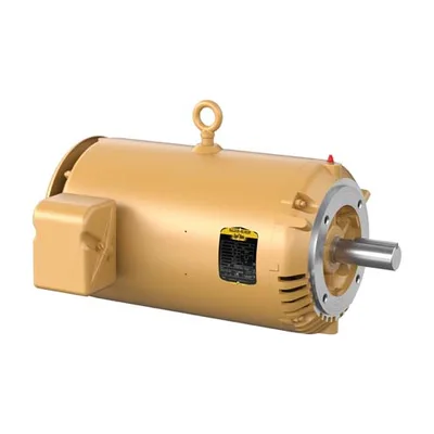 Baldor VEM2513T
