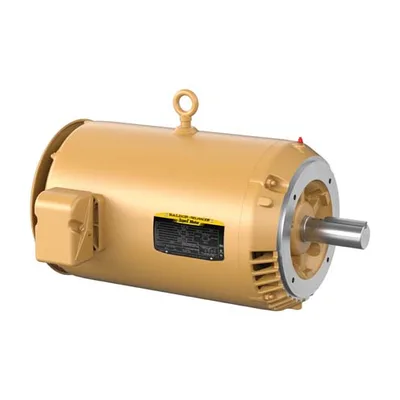 Baldor VEM2531T