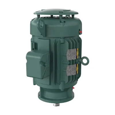 Baldor VLECP2333T