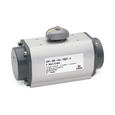 Camozzi ARP-250-2AA-F1600-AEX CAMOZZI