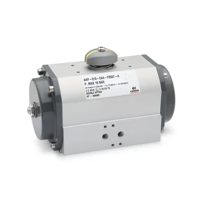 Camozzi ARP-005-2AA-F0507-AEX CAMOZZI