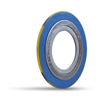 Garlock Fluid Sealing Product 2 in RWI #300/400/600 304/304/FG/304 SW