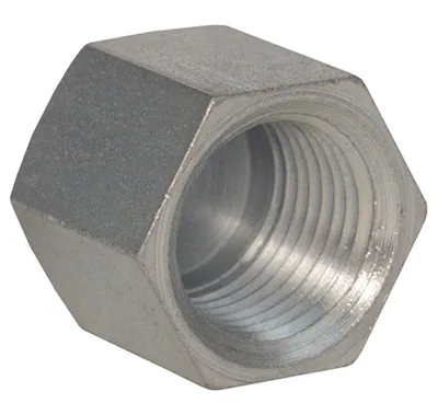 Dixon Valve & Coupling Company, LLC 5406C-12