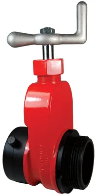 Dixon Valve & Coupling Company, LLC AHGV250F-I