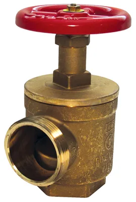 Dixon Valve & Coupling Company, LLC AV251NYFD