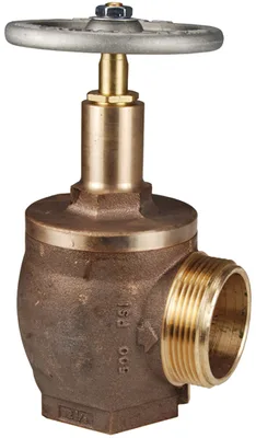 Dixon Valve & Coupling Company, LLC AV5-250F