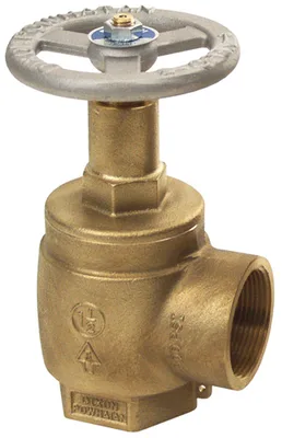 Dixon Valve & Coupling Company, LLC AVF250-I
