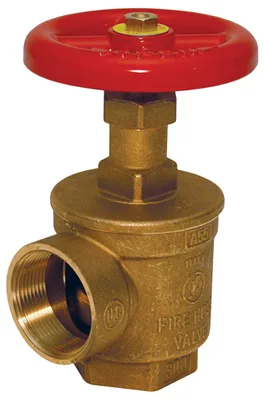 Dixon Valve & Coupling Company, LLC AVF251