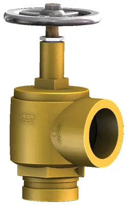 Dixon Valve & Coupling Company, LLC AVGF250
