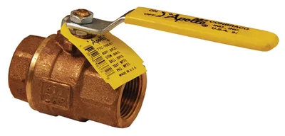 Dixon Valve & Coupling Company, LLC BBV100FP
