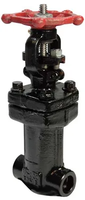 Dixon Valve & Coupling Company, LLC G8SF1100