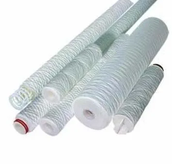 Global Filter GC10A20S316SS