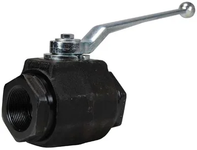 Dixon Valve & Coupling Company, LLC HPBV25