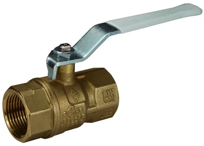 Dixon Valve & Coupling Company, LLC LFV100