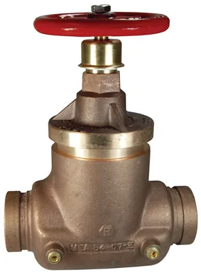Dixon Valve & Coupling Company, LLC NAPRVGT250-60