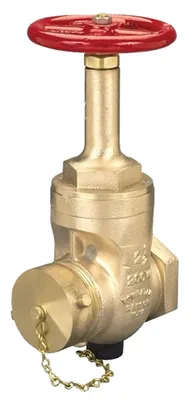 Dixon Valve & Coupling Company, LLC RWDGV250F