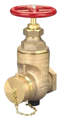 Dixon Valve & Coupling Company, LLC WDGV250F