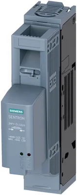 Siemens 3NP1131-1CA24