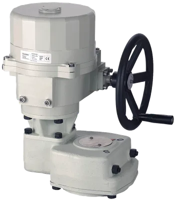 Siemens S55164-A107