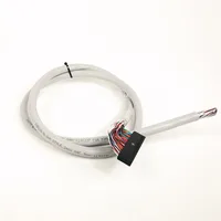 Allen Bradley 1492-CAB010P62