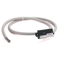 Allen Bradley 1492-CAB010RTN10