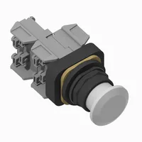 Allen Bradley 800H-FRXNQH2WG1