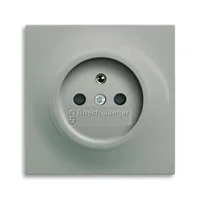 Busch-Jaeger 20 MUCKS-79-500