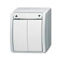 Busch-Jaeger 2601/4 W-54