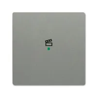 Busch-Jaeger 6233-10-803
