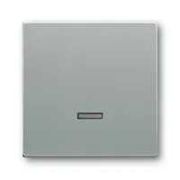 Busch-Jaeger 6543-83-101