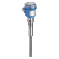 Endress + Hauser FTM20-4G25A