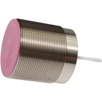 Ipf Electronic IN506050