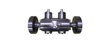 RBR Valvole S40T DBB Trunnion