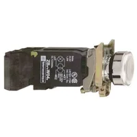 Schneider Electric XB4BW3145