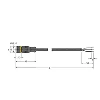 Turck RKC4T-5/TEL
